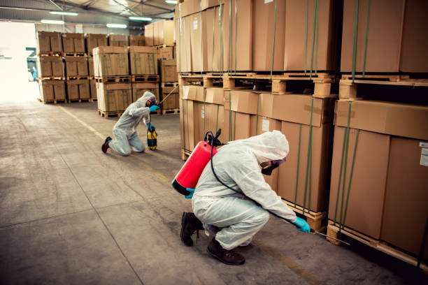 Best Rat Extermination Near Me  in Downers Grove, IL