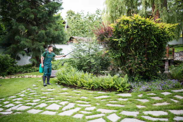 Best Rodent Control Near Me  in Downers Grove, IL