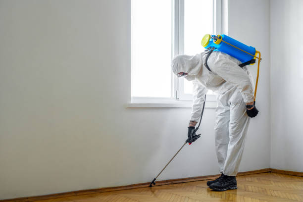 Best Pest Inspection Near Me  in Downers Grove, IL