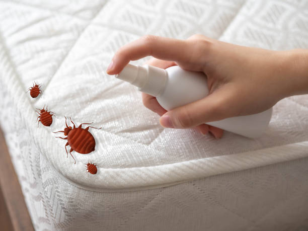 Best Wasp Removal Services  in Downers Grove, IL