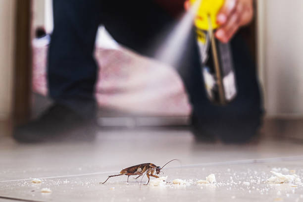 Best Residential Pest Control  in Downers Grove, IL