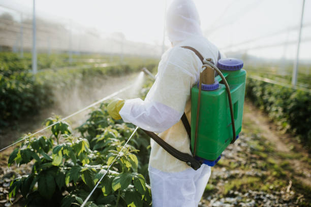 Best Commercial Pest Control Services  in Downers Grove, IL